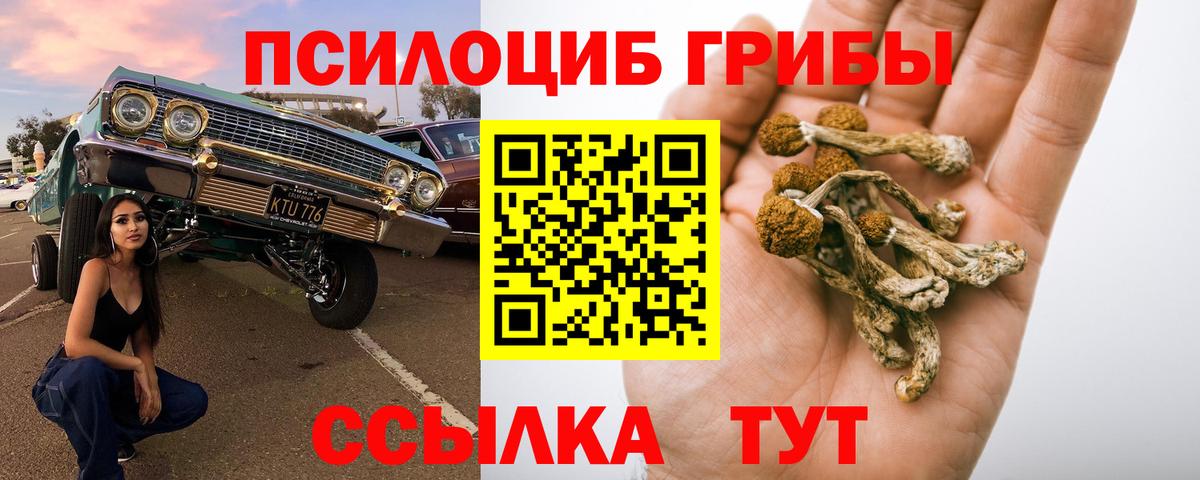 Галлюциногенные грибы мухоморы  Вход с VPN  Красногорск 